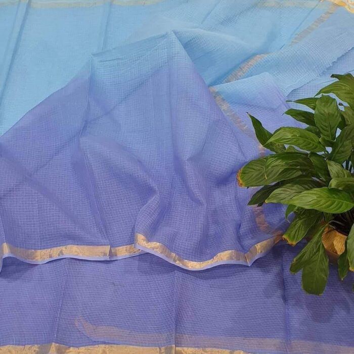 Sky blue and lavender Kota cotton saree with golden zari border displayed with green plant